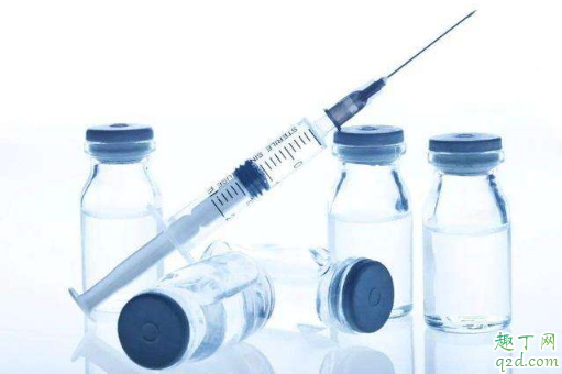 疫情期间可以打狂犬疫苗吗 疫情期间要打狂犬疫苗怎么办3