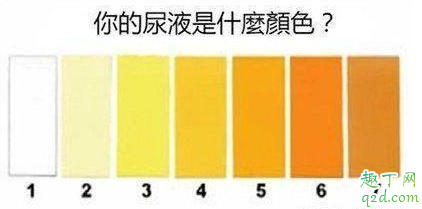 小便发黄喝水多是什么原因 尿黄是在排湿气吗4