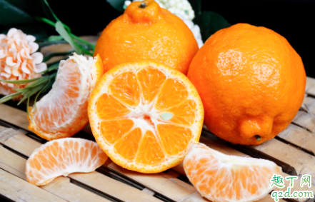 丑橘一天最多能吃几个 正宗丑橘多少钱一斤20201