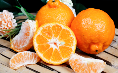 丑橘一天最多能吃几个 正宗丑橘多少钱一斤2020