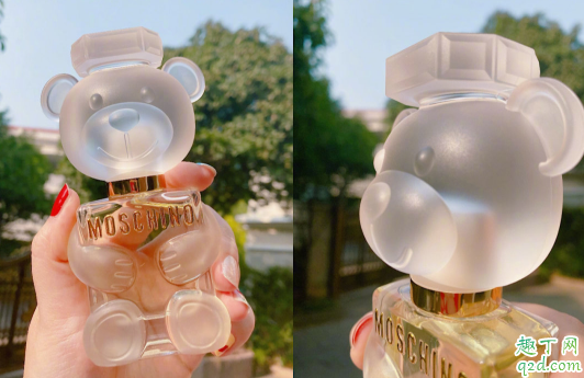微博|微博泰迪小熊香水什么牌子在哪买 微博泰迪小熊香水什么味道