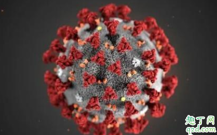 新冠肺炎病毒会不会和流感一样每年来 类似流感病毒每年发生怎么办 1
