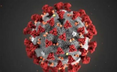 新冠肺炎病毒会不会和流感一样每年来 类似流感病毒每年发生怎么办
