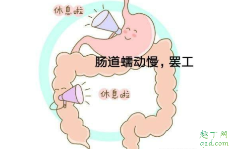 怀孕初期胃胀气咋回事 怀孕初期胃胀气怎么办 4
