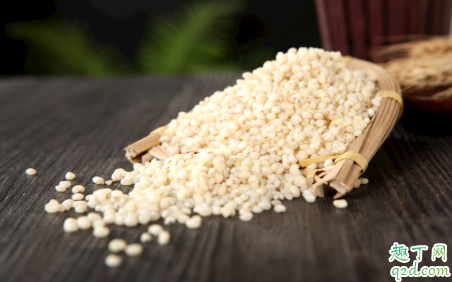 高粱米可以做主食吗 如何鉴别高粱米质量3