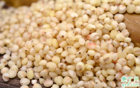 高粱米可以做主食吗 如何鉴别高粱米质量5
