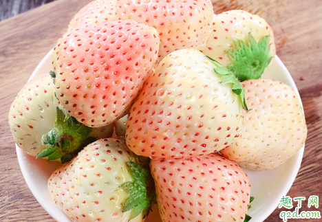 白雪公主草莓是转基因的吗 白雪公主草莓是哪个国家的3