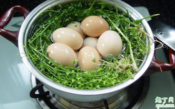 三月三煮鸡蛋的那个菜叫什么 三月三用什么菜煮鸡蛋2