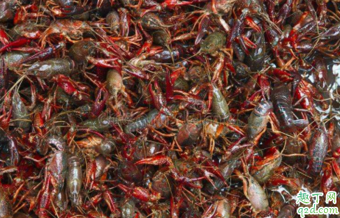 疫情对小龙虾有影响吗 2020湖北小龙虾价格是涨是跌1