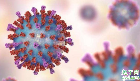 新型冠状病毒可以打疫苗吗 新型冠状病毒疫苗是每个人都要接种吗4
