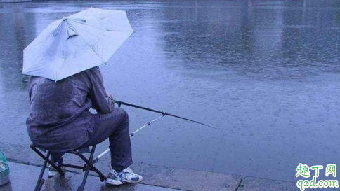 春天暴雨第二天好钓鱼吗 春天暴雨后钓鱼的技巧4