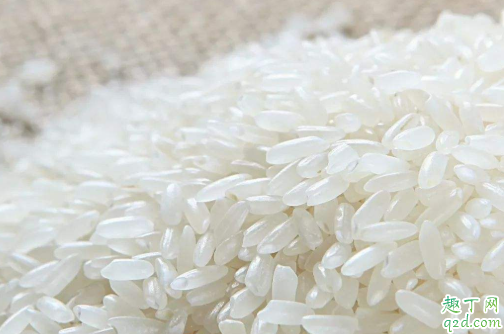 米|米放久了长虫是什么虫 大米长虫吃了会怎么样