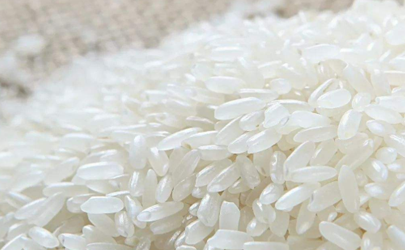 米放久了长虫是什么虫 大米长虫吃了会怎么样