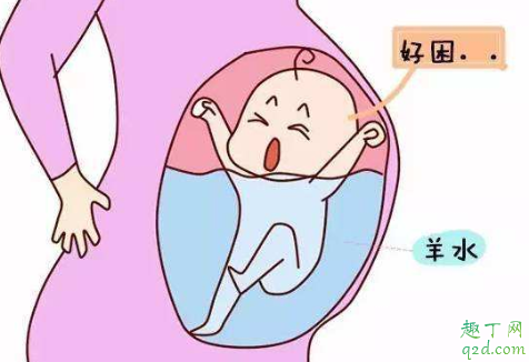 婴儿泡在羊水里为啥不呛水 宝宝在肚子里不呼吸吗3