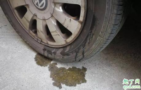 狗尿会腐蚀汽车轮胎吗 狗尿对轮胎伤害有多大3