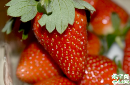 吃草莓会让尿液变色吗 草莓长得奇形怪状能吃吗3