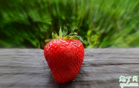 吃草莓会让尿液变色吗 草莓长得奇形怪状能吃吗2