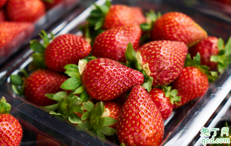 草莓一年种几次 浇草莓用什么水有营养1