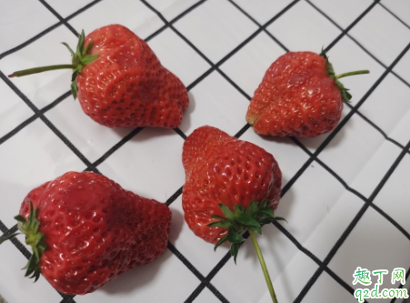 草莓一年种几次 浇草莓用什么水有营养4