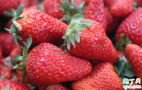 5月份种草莓成活率高吗 种植草莓哪些事项时要注意的4