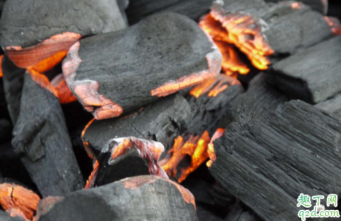 烧过的木炭能做花肥吗 木炭灰可以养哪些花1