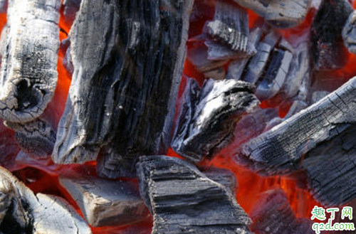 烧过的木炭能做花肥吗 木炭灰可以养哪些花2
