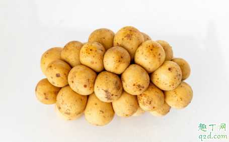 种植大土豆的秘诀是什么?掌握这些土豆个大绝对不在话下3