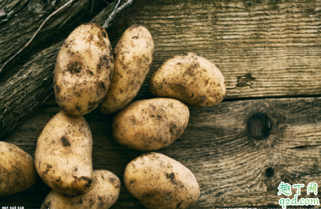 土豆追肥用什么肥料?用了这些肥料土豆养得活才怪4