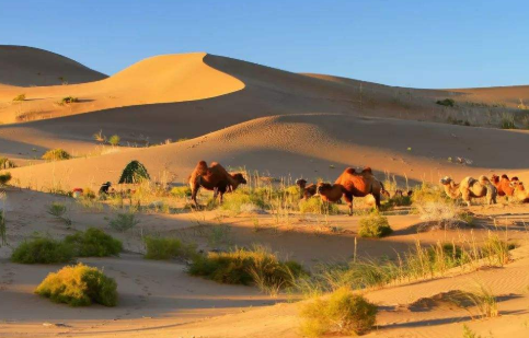 最美沙漠巴丹吉林好玩吗？太有魅力了！1