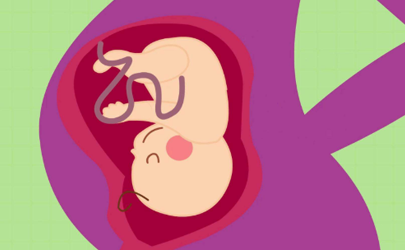 胎盘靠近宫口什么方法最快恢复正常