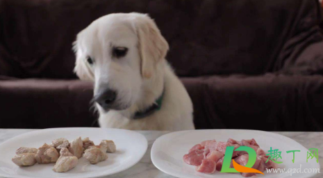 狗吃生骨肉吃多少3