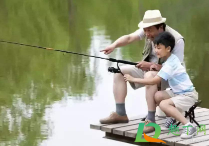 夏天钓鱼中午好上鱼嘛1