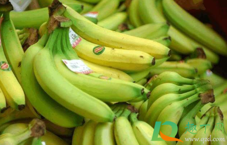 非常粗大的香蕉是不是激素1