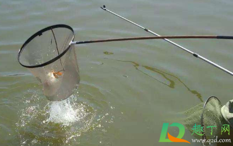钓鱼时一般钓什么水层的鱼3