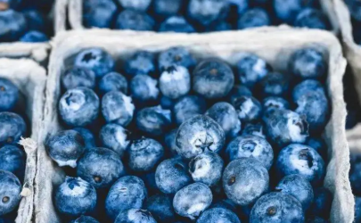 蓝莓为什么不能吃太多