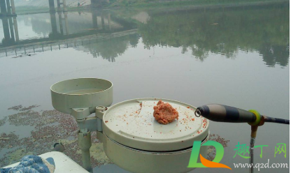 現在釣黑魚用什么魚餌3