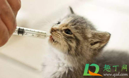 猫咪疫苗放在冷藏可以吗2