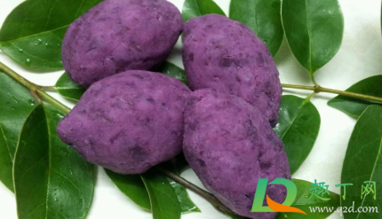 紫薯如何保存不会发芽3