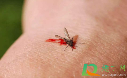 蚊子打死墙上有血怎么处理1