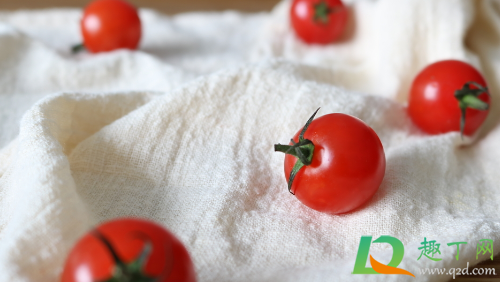 西红柿做肥料不发酵可以用吗1