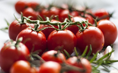 西红柿发酵后可以浇花吗