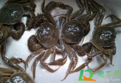 螃蟹|螃蟹怎么清洗不被夹手