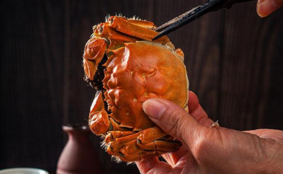 螃蟹过敏是蟹肉还是蟹黄