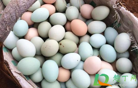绿壳鸡蛋是什么鸡生的2