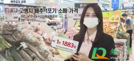 韩国大白菜飙涨至62元一颗原因3