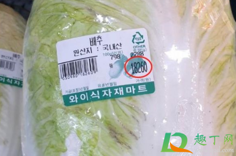 韩国大白菜飙涨至62元一颗原因2