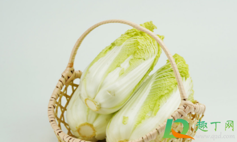 韩国大白菜飙涨至62元一颗原因1