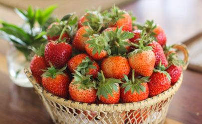 常吃草莓能防衰老吗