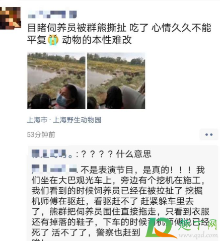 上海野生动物园熊伤人致死怎么回事3