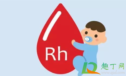 rh(d)血型阳性是什么意思2